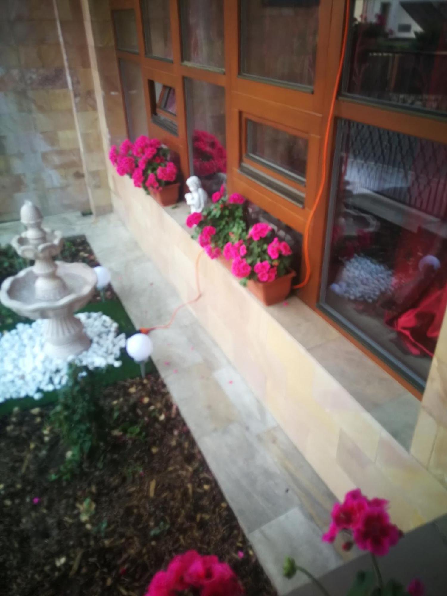 Vila Barrandovska Patro 2 Prague Luaran gambar